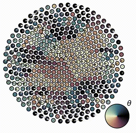 Active Matter